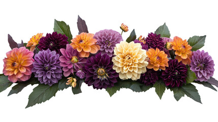 Obraz premium Horizontal image of a colorful flower arrangement featuring various shades of dahlias. The flowers are arranged in a decorative composition, with contrasting colors and shapes.