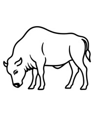rhino vector illustration