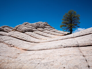 The White Pocket of the S Coyote Buttes in northern Arizona on the Utah border, USA