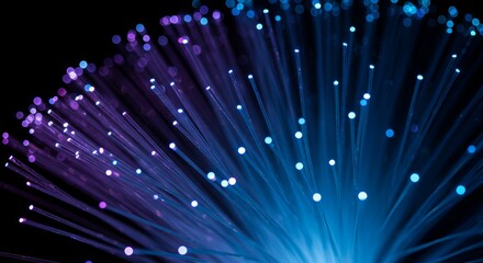 Illuminated Fiber Optics: Blue and Purple Glowing Strands
