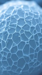 close up view of a ball of ice