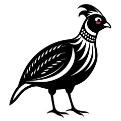 rooster isolated on white background