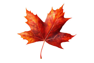 Fototapeta premium Digitally created, autumn-themed graphic featuring a vivid red-orange maple leaf set against an abstract color gradient background.