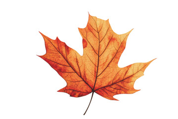 Fototapeta premium Detailed autumnal maple leaf, depicted against a backdrop of contrasting geometric shapes in vibrant warm hues.
