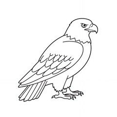 Obraz premium Majestic bird of prey illustration standing eagle in profile black and white