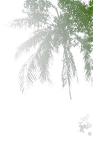 Abstract Silhouetted Palm Trees With Glitter Effect Isolated Background Illustration