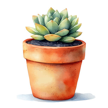 watercolor succulent plant in terracotta pot clip art preview