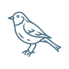 Fototapeta premium Chiffchaff Bird Illustration, Minimalist Line Art