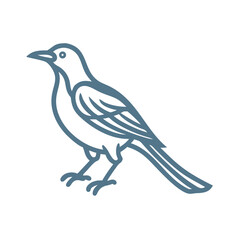 Minimalist Black-Billed Magpie Vector Illustration