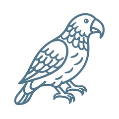 Kea Bird Outline Illustration, New Zealand Parrot
