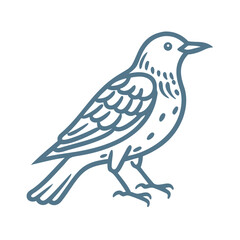 Fototapeta premium European Starling Vector Illustration, Bird Icon