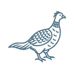 Ring-Necked Pheasant Line Art Illustration