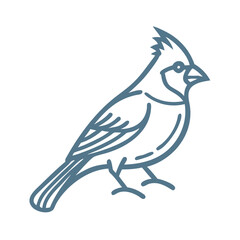 Fototapeta premium Cardinal Bird Outline Illustration, Minimalist Style