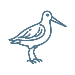 Oystercatcher Bird Minimalist Line Art Illustration
