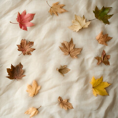 Scattered autumn leaves soft beige background nature photography warm tones close-up aesthetic appeal