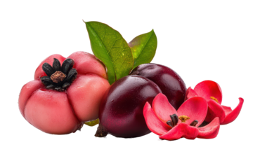 Captivating still life image showcases a collection of colorful pink and dark purple fruits and flowers.  The close-up view highlights their textures and colors.