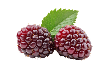 Two plump, dark red berries with vibrant green leaves are featured in a close-up  shot.  A high resolution image.