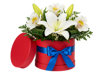 Elegant White Lily Bouquet in Red Box isolated on transparent background


Copy

Ask

Explain

