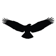 Obraz premium Silhouette of an eagle flying with spread wings on a white background