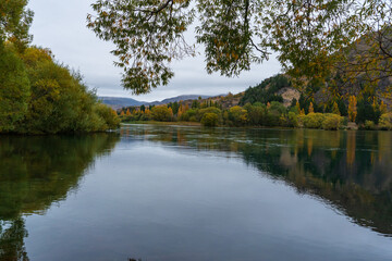 Autmnal foliage on the  poplar trees around the Waitaki river Lake Benmore