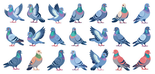 Collection of Colorful Pigeons in Various Poses