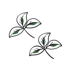 Two stylized shamrocks with green accents on a white background
