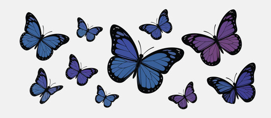 Blue and Purple Butterflies Flying on White Background