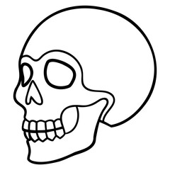 Crisp skull icon in vector line art style on a transparent background for modern minimalist graphic projects