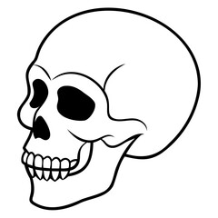 Simple skull vector outline with clean line drawing isolated on transparent background for logos and illustrations