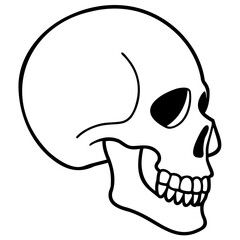 Simple skull vector outline with clean line drawing isolated on transparent background for logos and illustrations