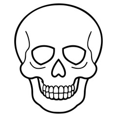 Minimal skull outline vector image in black line art style on transparent background for graphic design use