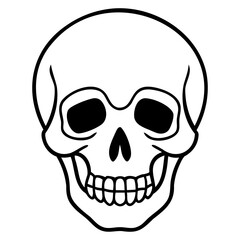 Skull vector line art illustration isolated on a transparent background for digital design and tattoo style graphics