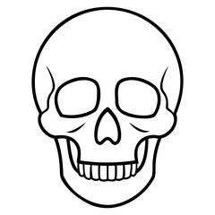 Skull vector line art illustration isolated on a transparent background for digital design and tattoo style graphics