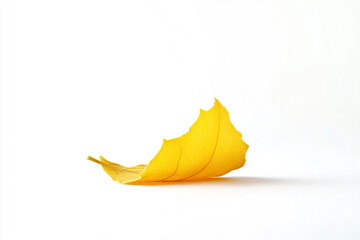 Naklejka premium Single Vibrant Yellow Leaf on White Background Autumn Nature Photography