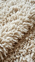 close up of a white rug with lots of white stuff on it