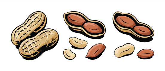 Cartoon Peanuts in Shells and Shelled Peanuts Illustration