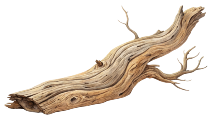 Realistic depiction of weathered tree branch with intricate textures and natural curves, showcasing its aged and rustic appearance. branch features small offshoots and hollowed section