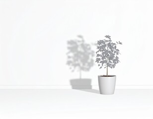 A small potted plant casts a shadow against a plain white wall in a minimal, bright setting.