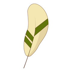 Thanksgiving Day Cartoon Element. Isolated on White Background.