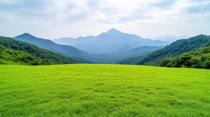 Obraz premium Vast Grassland Mountain Range Scenic Vista High-Definition Wide Shot Lush Green Field Tranquil Landscape Distant Peaks Bright Green tones Nature Photography
