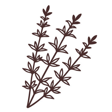 brown sprigs plant stems clip art preview