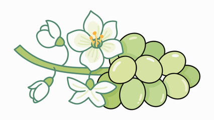 Jade grape flower pattern, flower vector pattern surrounds the border.