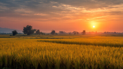 Sunset over a golden field a scenic nature landscape