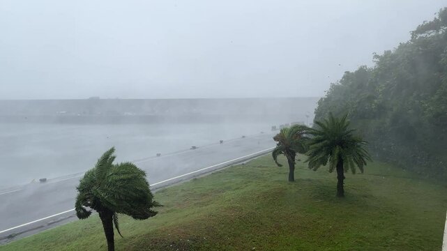 Torrential Rain And Swirling Wind In Hurricane Eyewall - Haikui