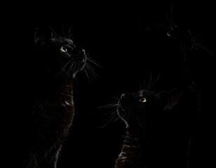 Obraz premium Three elegant black cats silhouetted against a dark background, gazing upwards. Mysterious, captivating feline trio.