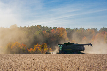 Summer harvest. Fields with harvest wheat. Combine harvester in a wheat field. Harvest on rural...