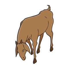 goat vector illustration