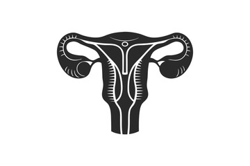 female reproductive system silhouette vector illustration