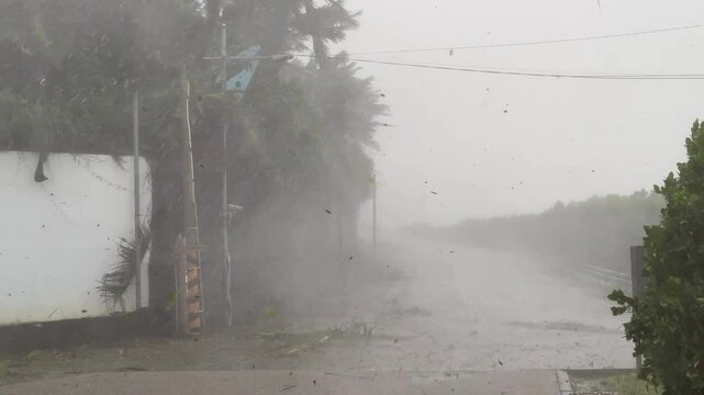 Hurricane Eyewall Chaotic Wind Swirling Rain And Leaves - Haikui