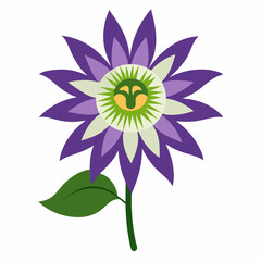 lotus flower isolated on white background